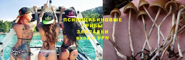 бошки Алзамай