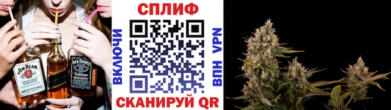 Купить  Новая Ладога  МАРИХУАНА гибрид 